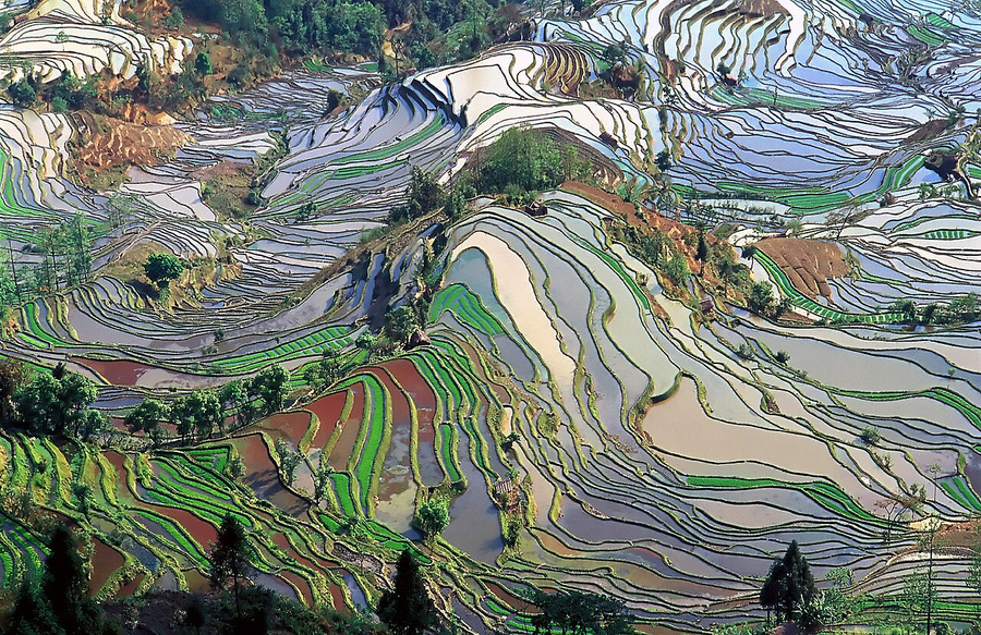 Yuanyang Hani rice terraces