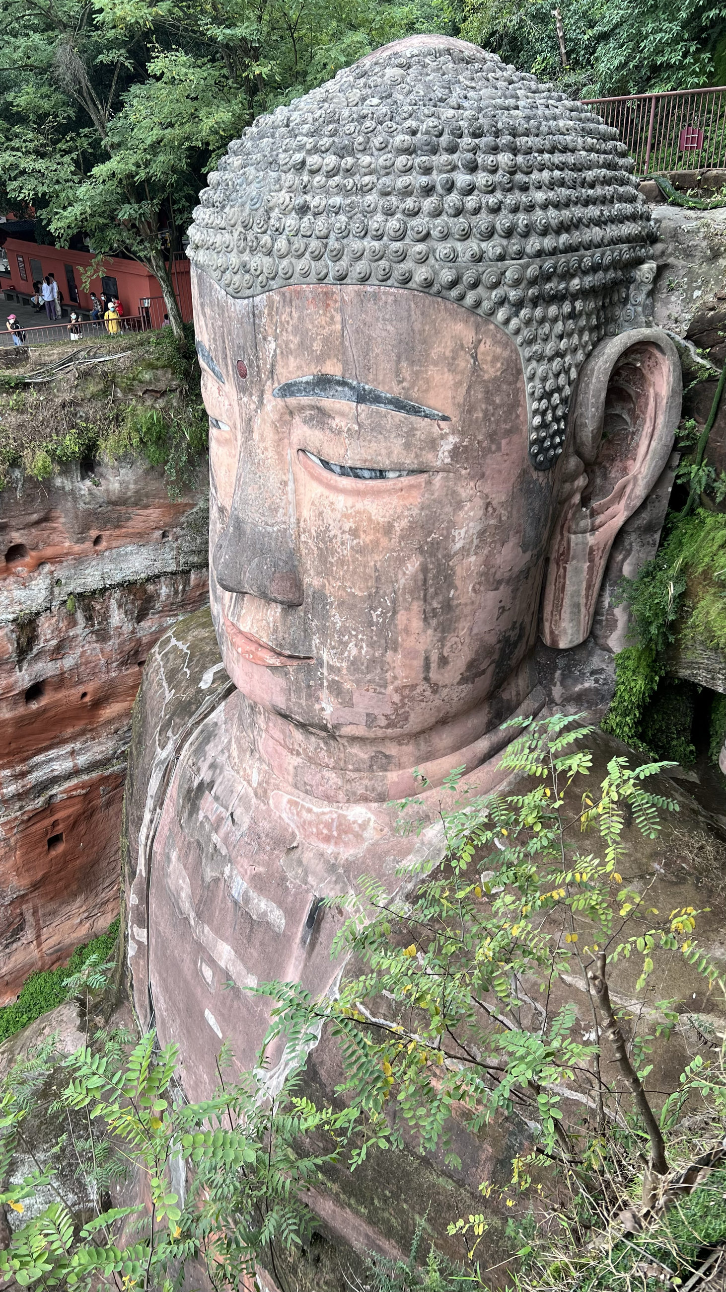 Leshan Giant Buddha · the carved head beside the cliff