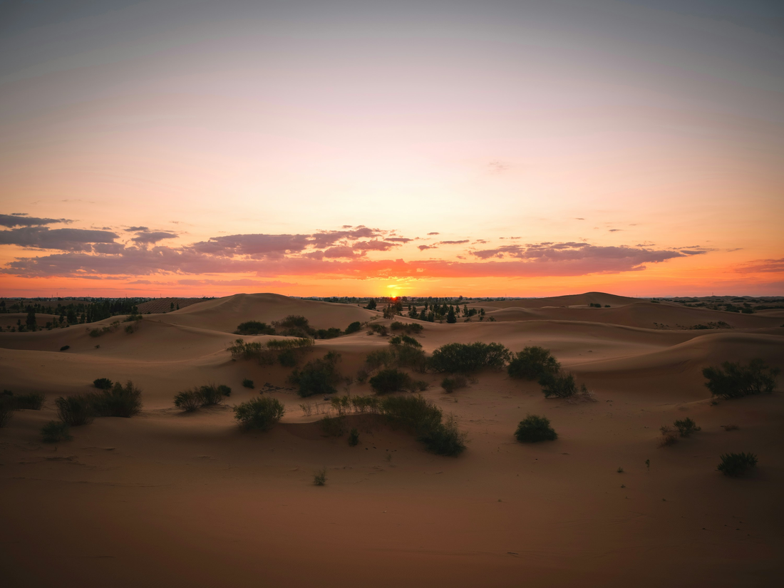 Kubuqi Desert