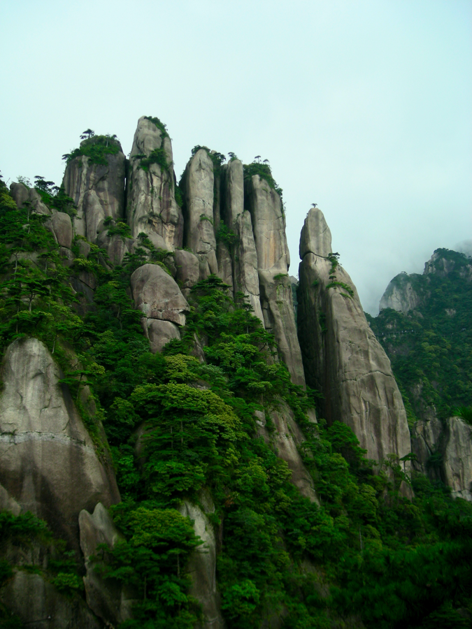 Granite pillars and pine trees at Mount Sanqingshan