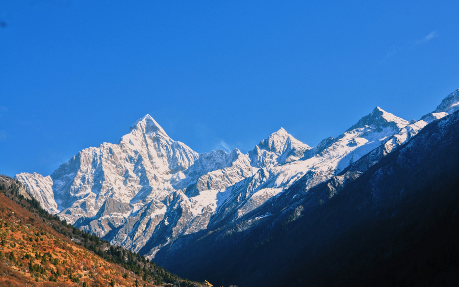 Sichuan Giant Panda Sanctuaries