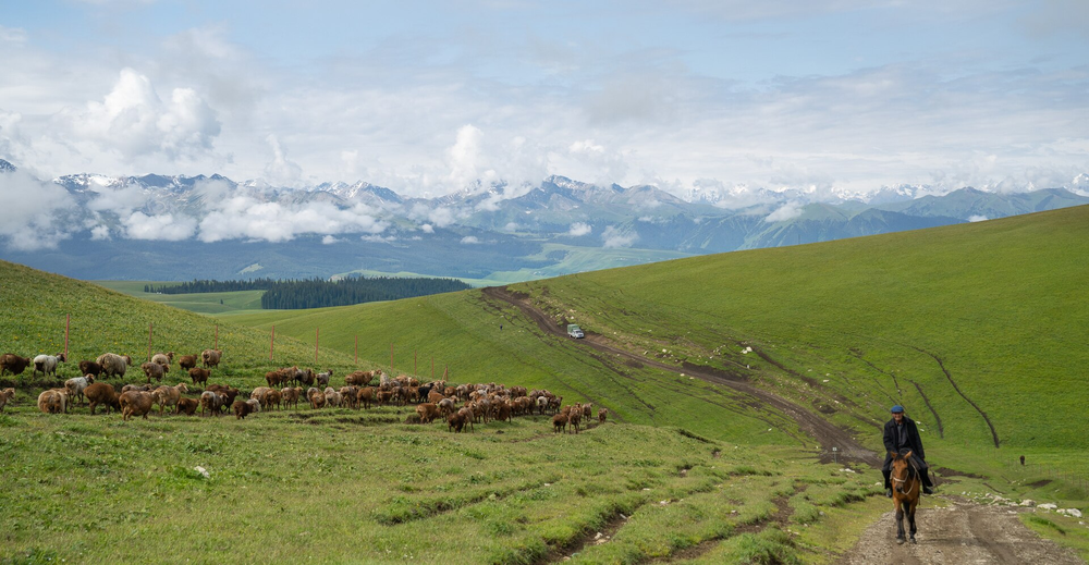 Kalajun Grassland · Ili