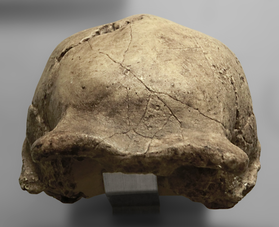 Peking Man Site at Zhoukoudian